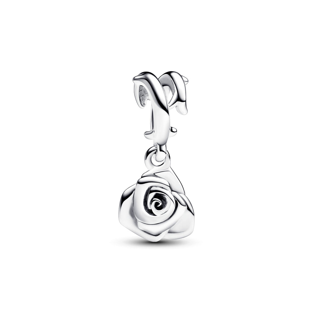 Pandora Rose Necklace Gift Set