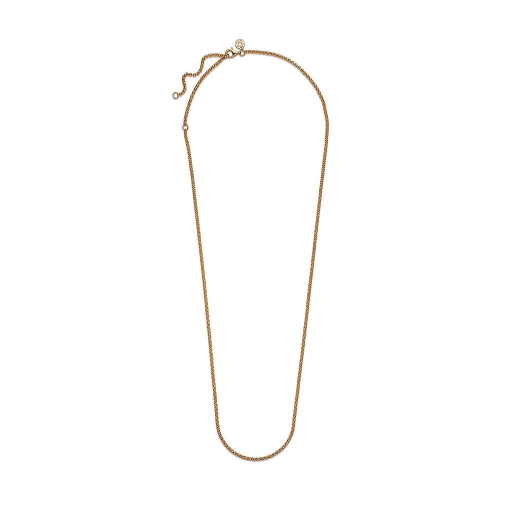 Pandora Rolo Chain Necklace