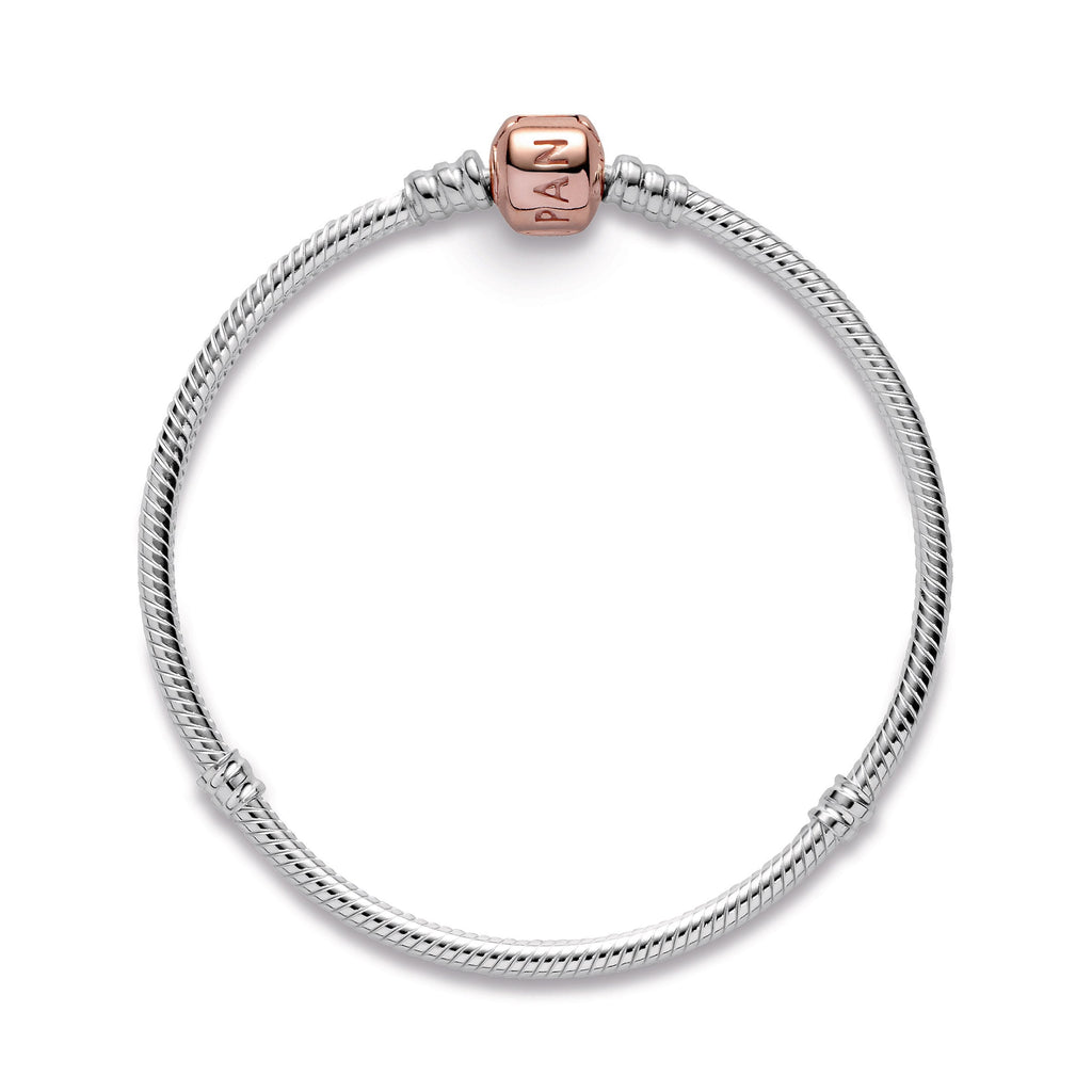 Pandora Bracelet Featuring Moments Snake Chain