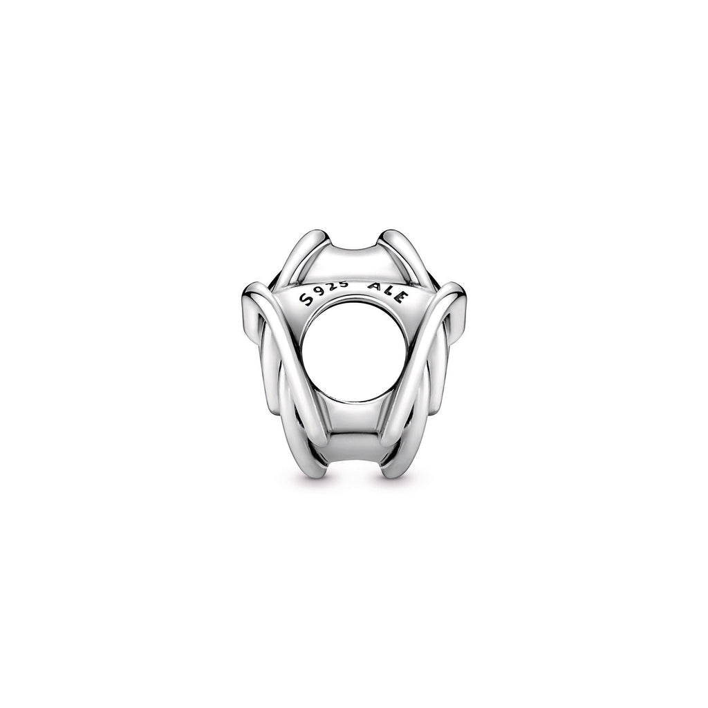 Pandora Charm Featuring Family Always Encircled Heart