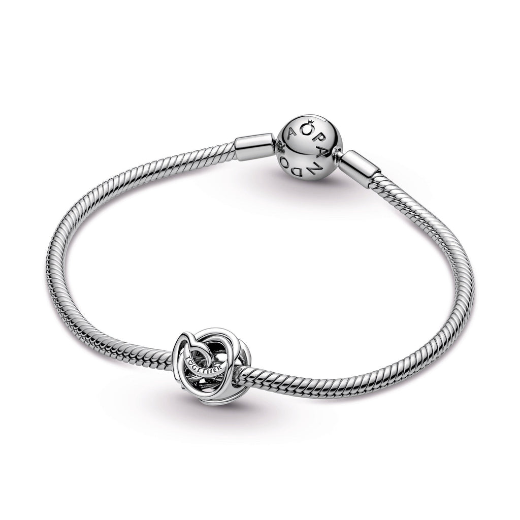 Pandora Charm Featuring Family Always Encircled Heart