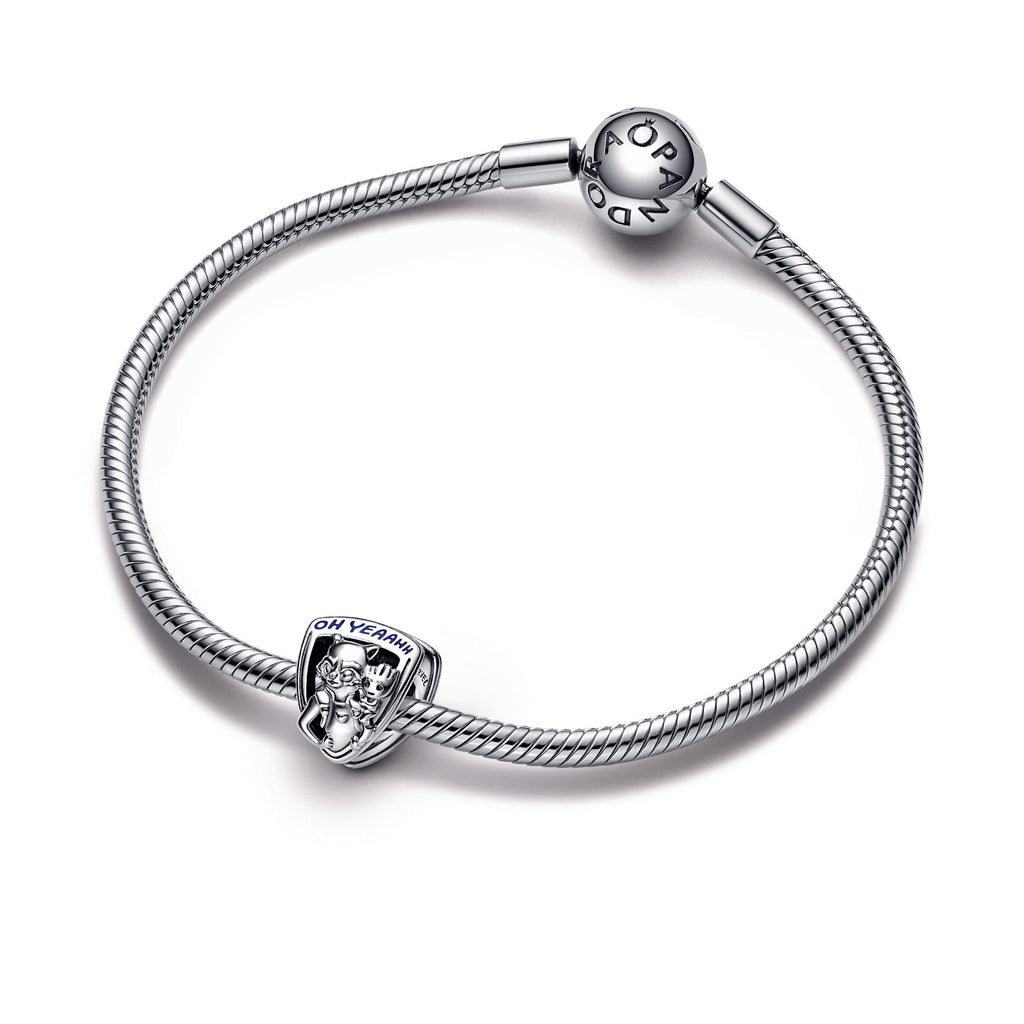 Pandora Marvel Guardians of the Galaxy Rocket Raccoon & Groot Emblem Charm
