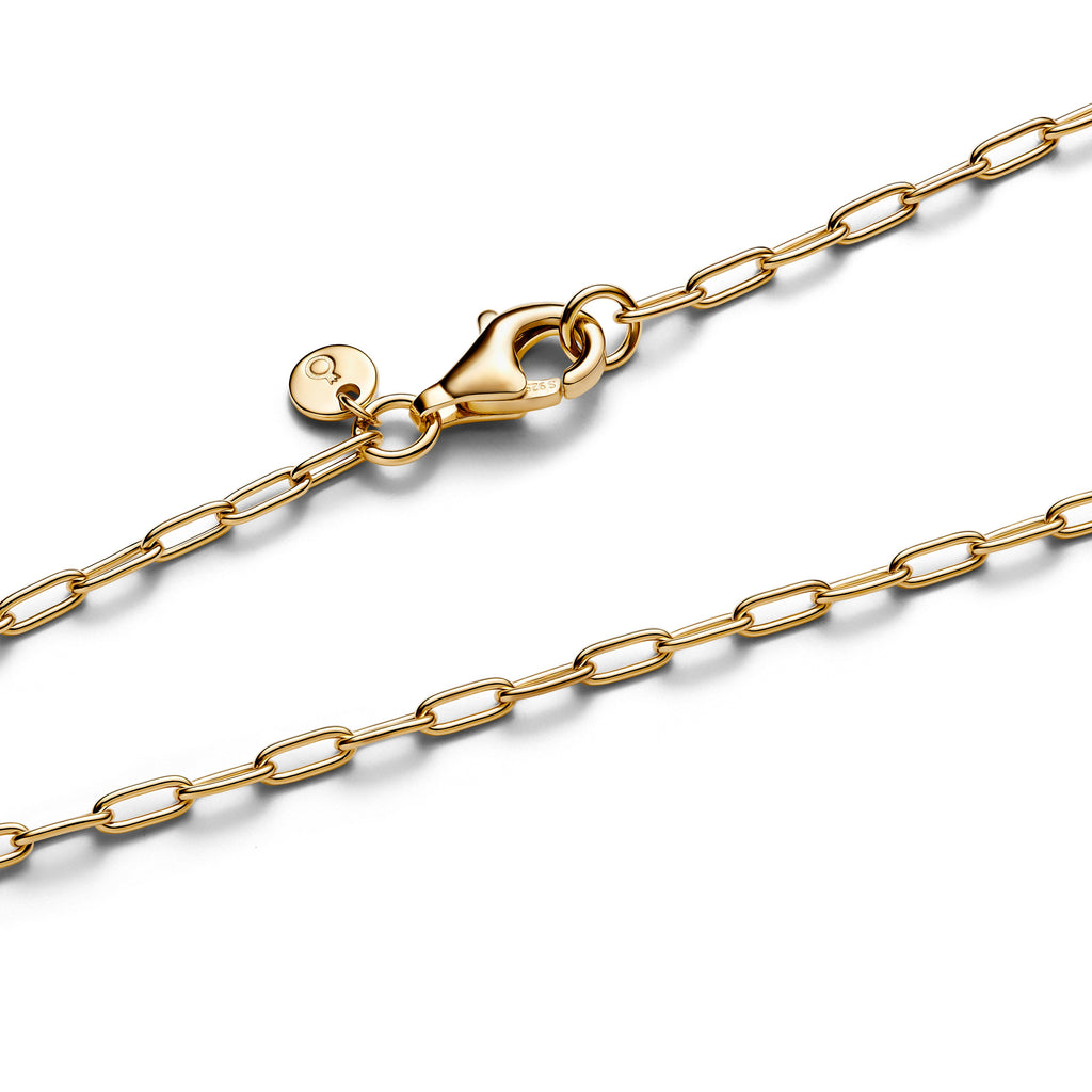 Pandora Necklace Featuring Elongated Link
