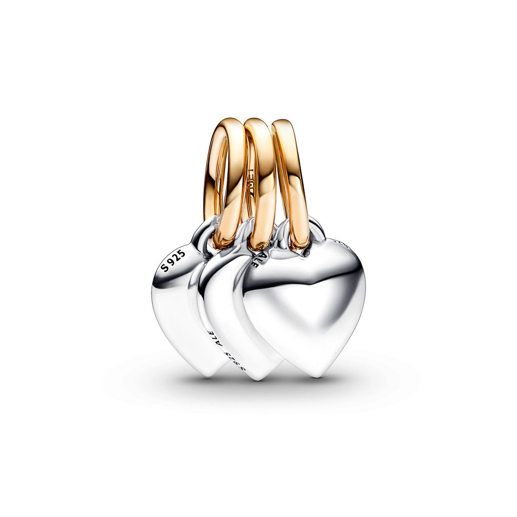 Pandora Two-tone Splittable Friendship Triple Dangle Charm