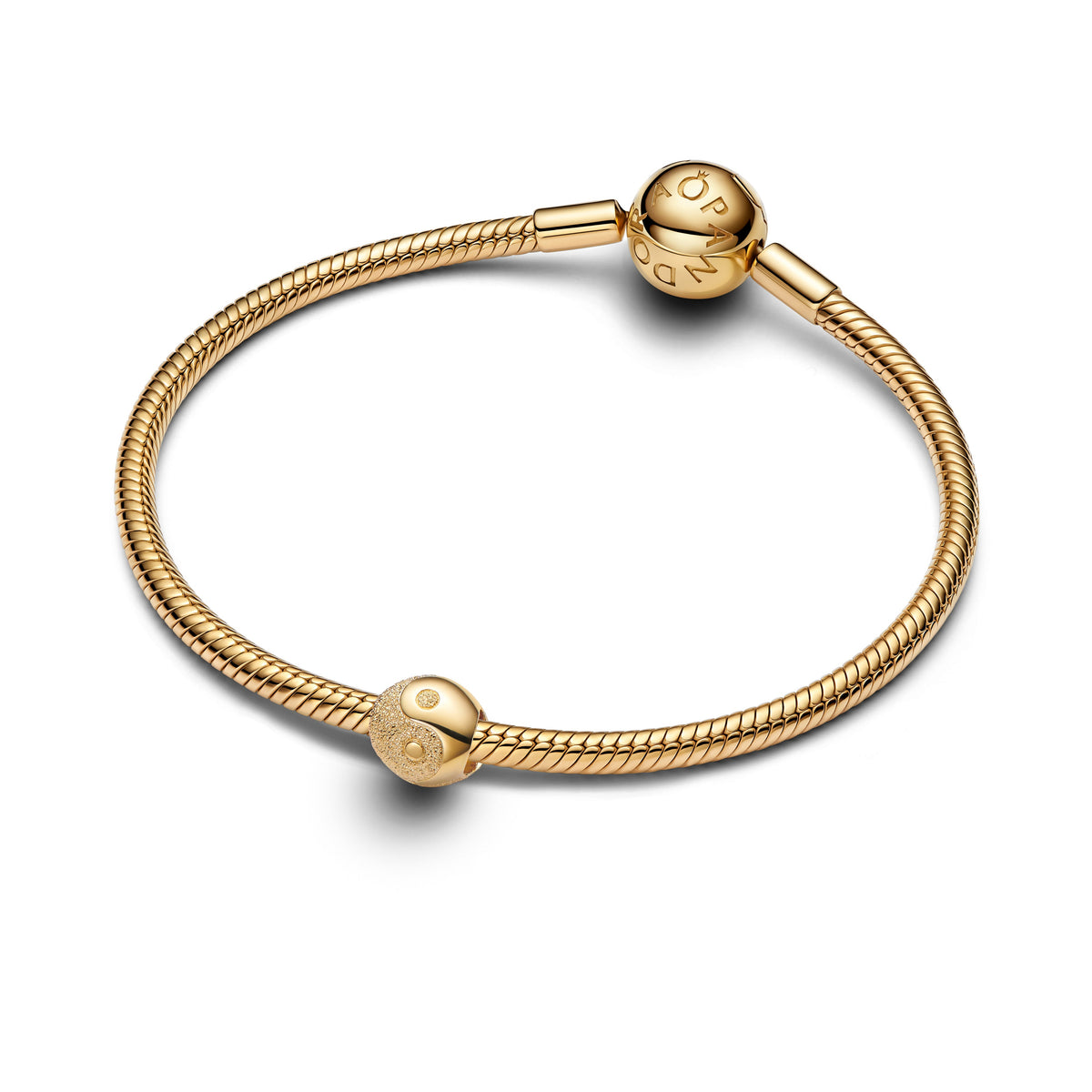 Pandora Textured Yin and Yang Mini Charm
