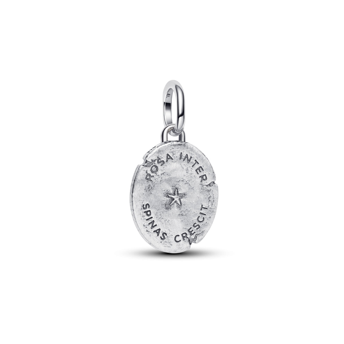 Pandora Rose Medallion Charm