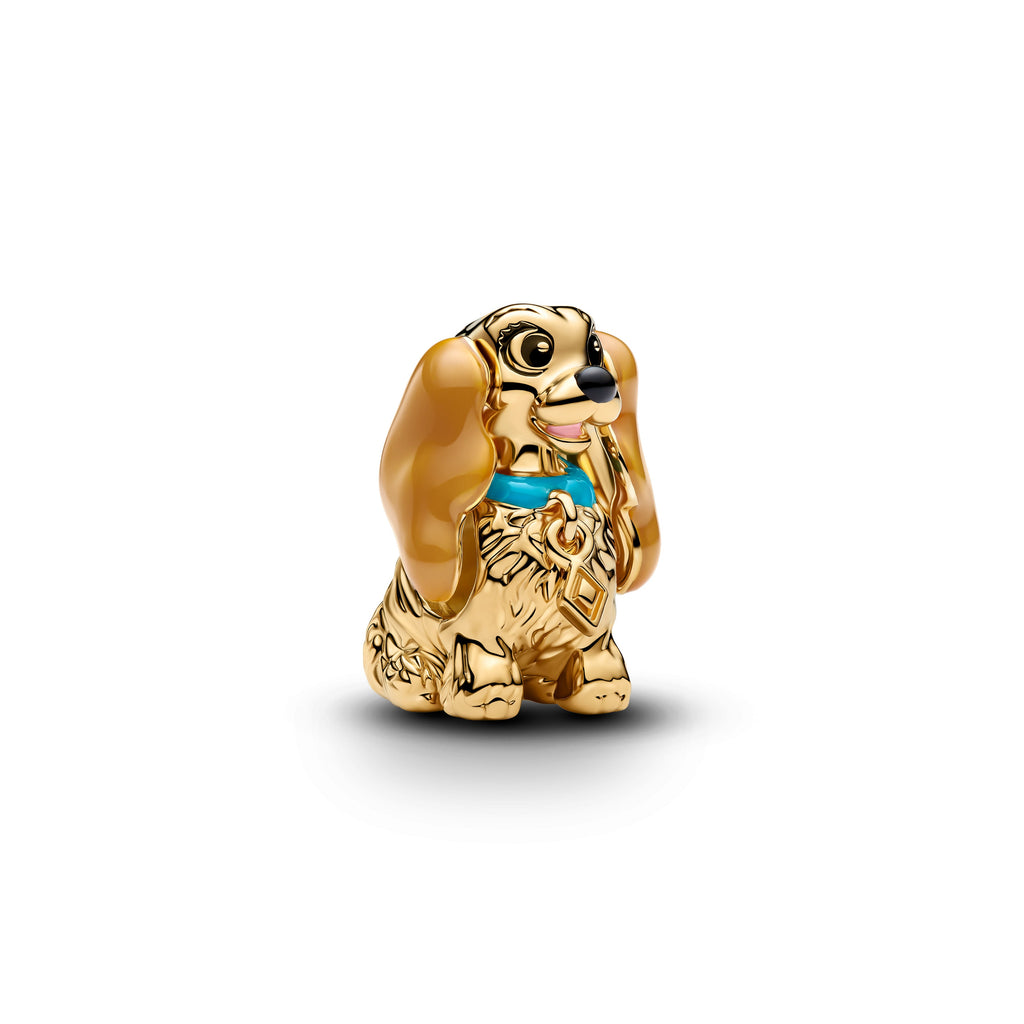 Disney Lady Charm