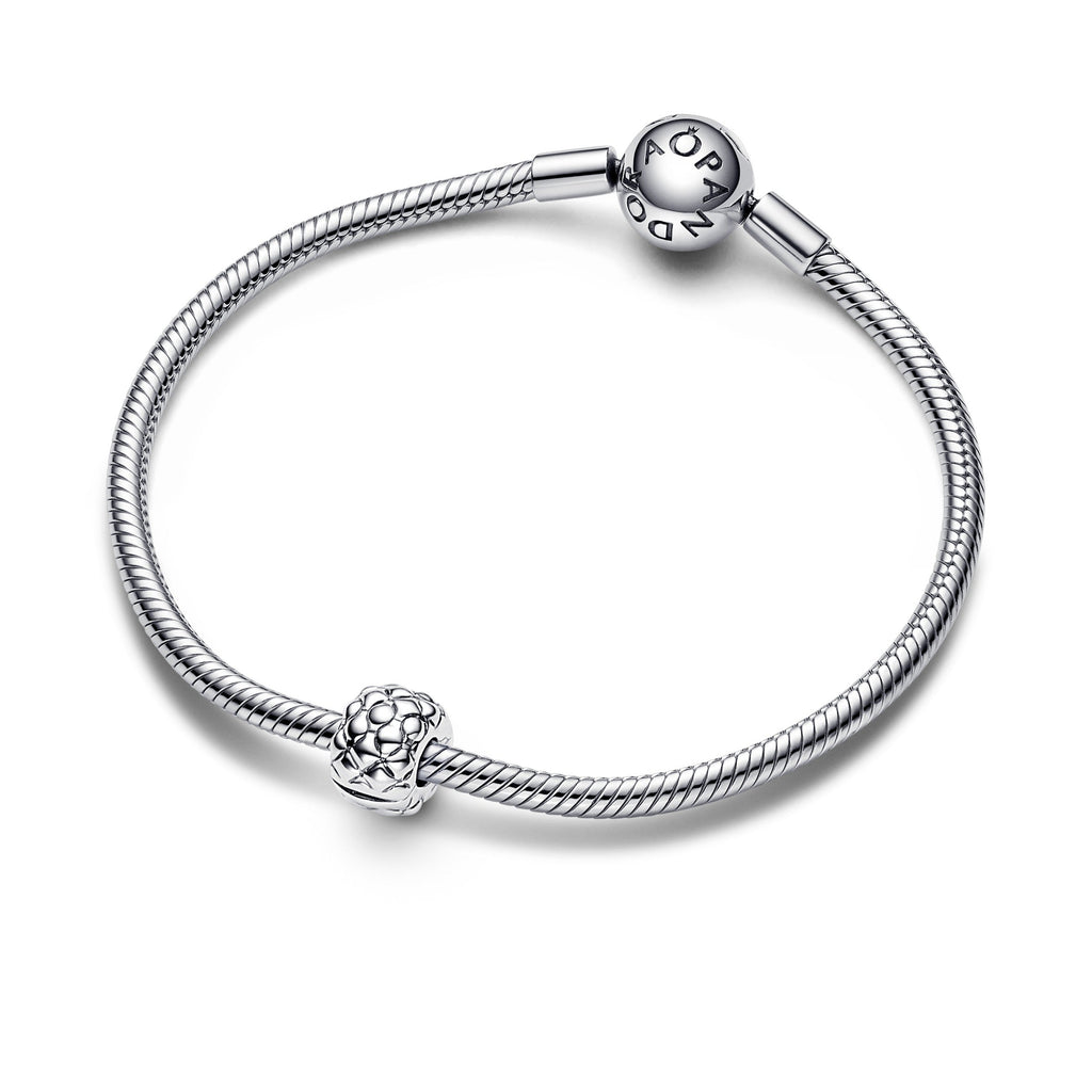 Pandora Studded Clip Charm
